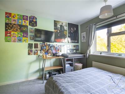 Picture 19
